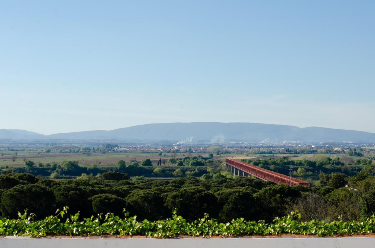 Convento Inn&Artists Residency Chamusca  Esterno foto