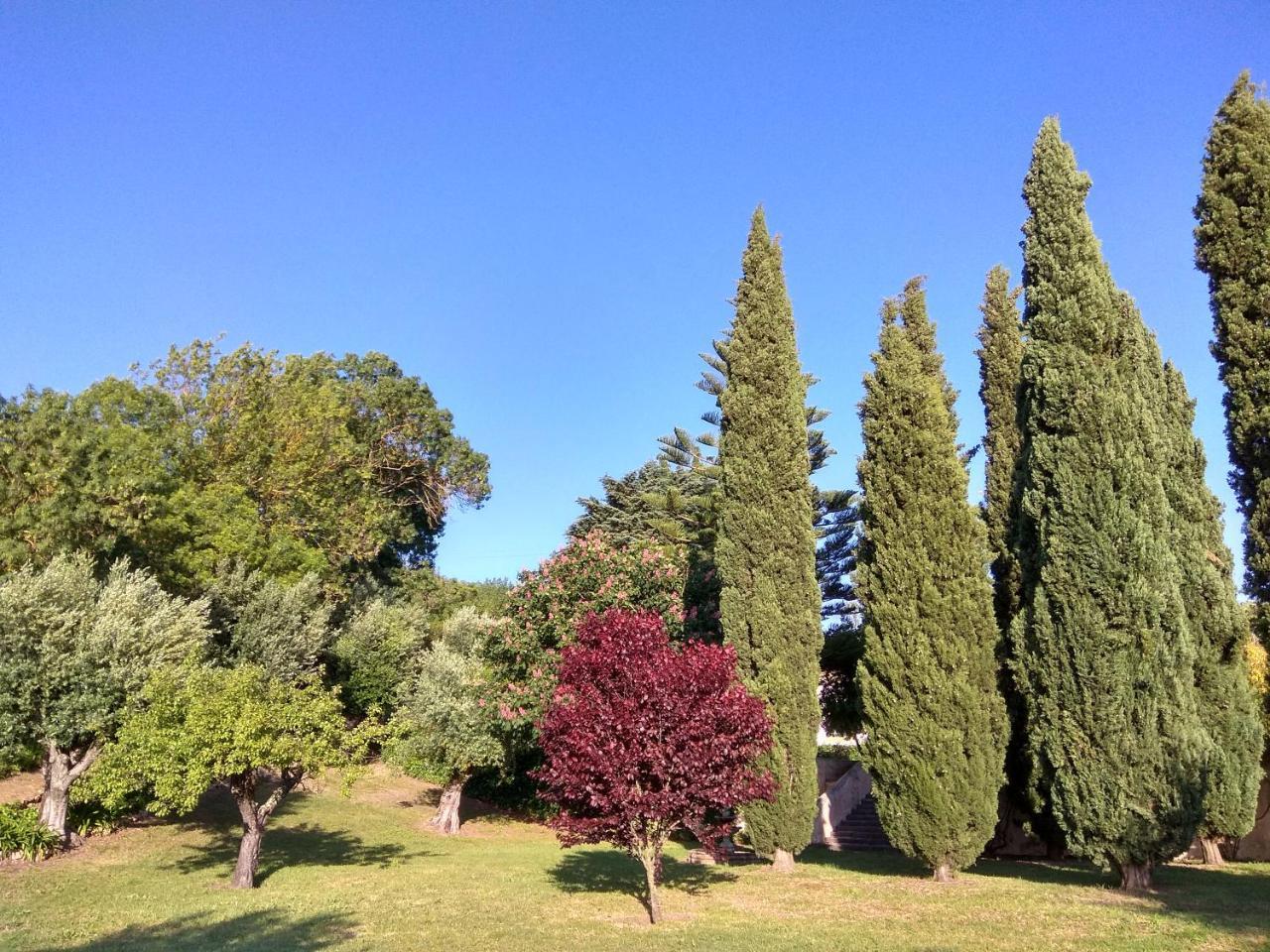 Convento Inn&Artists Residency Chamusca  Esterno foto